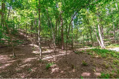 Lot 22 Meadow Brook Trail, Morganton, GA 30560 - Photo 1
