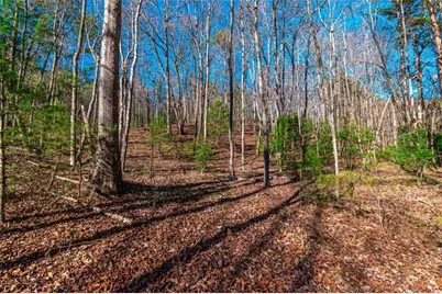 Lot 22 Meadow Brook Trail, Morganton, GA 30560 - Photo 9