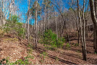 Lot 22 Meadow Brook Trail, Morganton, GA 30560 - Photo 17