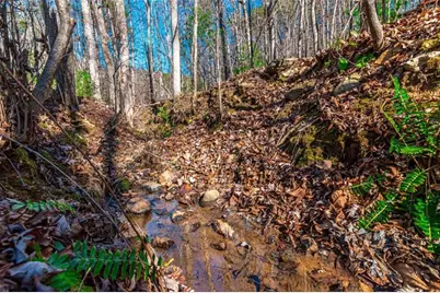 Lot 22 Meadow Brook Trail, Morganton, GA 30560 - Photo 21