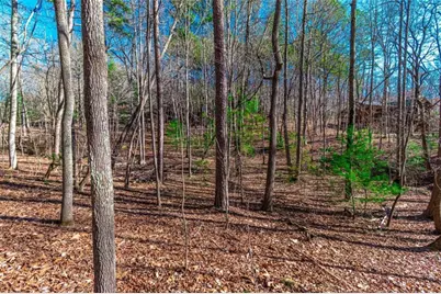 Lot 22 Meadow Brook Trail, Morganton, GA 30560 - Photo 15