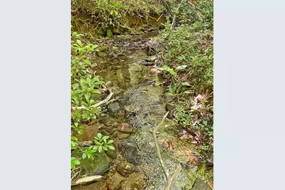 0 Hickory Nut Trail, Dahlonega, GA 30533 - Photo 5