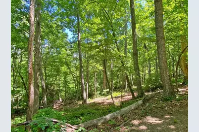 0 Hickory Nut Trail, Dahlonega, GA 30533 - Photo 3