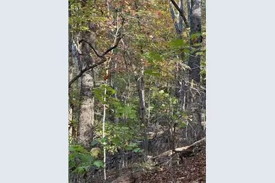 1806 Browning Road, Rockmart, GA 30153 - Photo 57