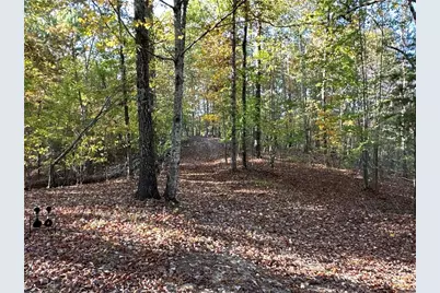 1806 Browning Road, Rockmart, GA 30153 - Photo 91