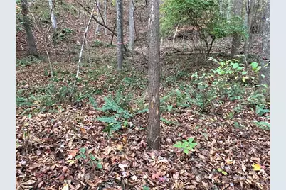1806 Browning Road, Rockmart, GA 30153 - Photo 31
