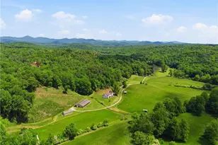 619 Hamp Mill Rd, Dahlonega, GA 30533 - Photo 101