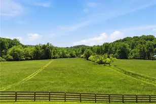 619 Hamp Mill Rd, Dahlonega, GA 30533 - Photo 115