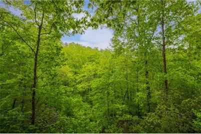 203 Mountain View Drive, Cherry Log, GA 30522 - Photo 27