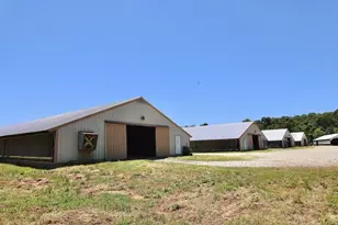 1600 Will Evans Rd, Chatsworth, GA 30705 - Photo 1