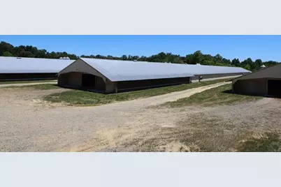 1600 Will Evans Road, Chatsworth, GA 30705 - Photo 23