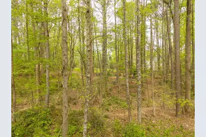 4880 Rosewood Lake Drive, Cumming, GA 30040 - Photo 79