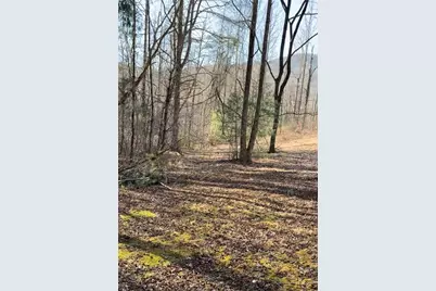 Lot 6D Meadow View Lane, Cleveland, GA 30528 - Photo 3