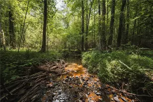 2197 Damascus Rd, Ball Ground, GA 30107 - Photo 39