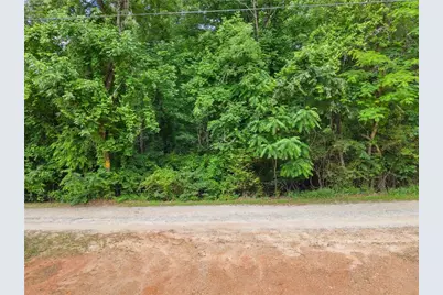 2114 Microwave Tower Road, Gainesville, GA 30507 - Photo 21