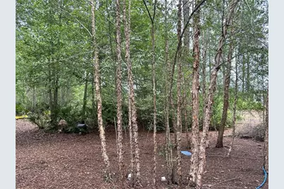 114 Jones Road, Hortense, GA 31543 - Photo 21