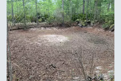 114 Jones Road, Hortense, GA 31543 - Photo 23