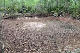 114 Jones Rd, Hortense, GA 31543 - Photo 23