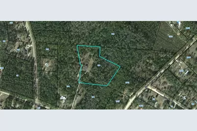 114 Jones Road, Hortense, GA 31543 - Photo 25