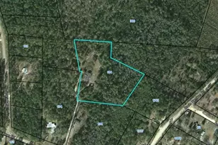 114 Jones Rd, Hortense, GA 31543 - Photo 25