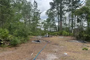 114 Jones Rd, Hortense, GA 31543 - Photo 17