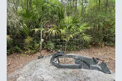 114 Jones Road, Hortense, GA 31543 - Photo 19