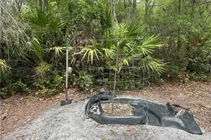 114 Jones Rd, Hortense, GA 31543 - Photo 19