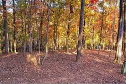 1048 Thrasher Way, Big Canoe, GA 30143 - Photo 5