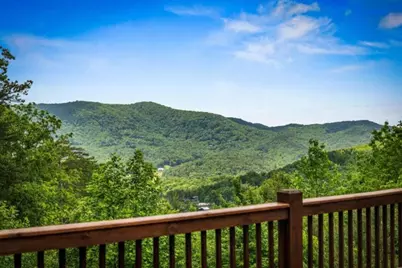 58 Overlook Way, Blue Ridge, GA 30513 - Photo 61