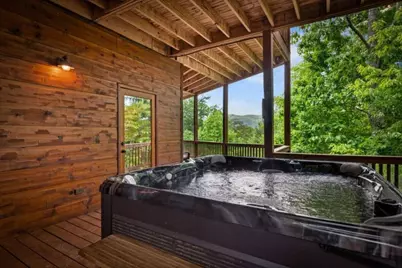 58 Overlook Way, Blue Ridge, GA 30513 - Photo 53