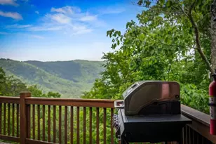 58 Overlook Way, Blue Ridge, GA 30513 - Photo 63