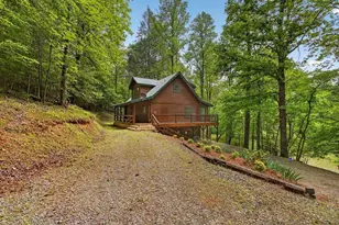 48 Twin Creeks, Blue Ridge, GA 30513 - Photo 3