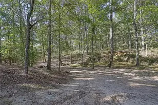 2325 Mountain Rd, Alpharetta, GA 30004 - Photo 57