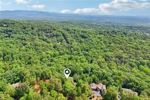 189 Red Trillium Ridge, Big Canoe, GA 30143 - Photo 89