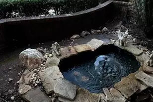 [Address not provided], Gainesville, GA 30506 - Photo 49
