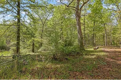 [Address not provided], Gainesville, GA 30506 - Photo 51