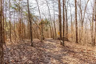 2408 Chatsworth Hwy 225 NE, Calhoun, GA 30701 - Photo 59