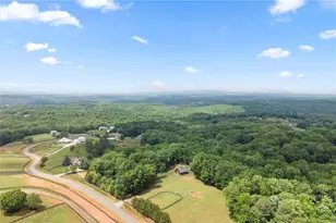 120 Grandview Dr, Ball Ground, GA 30107 - Photo 111