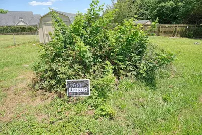 161 Pine Valley Drive, Powder Springs, GA 30127 - Photo 29