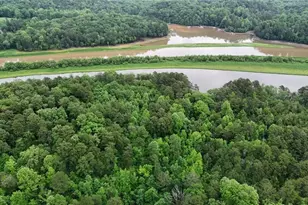 238 Shore Dr, Dahlonega, GA 30533 - Photo 33