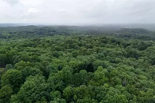 238 Shore Dr, Dahlonega, GA 30533 - Photo 27