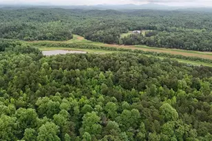 238 Shore Dr, Dahlonega, GA 30533 - Photo 21