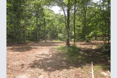 0000 Hwy 136- 11.31 Acres W, Talking Rock, GA 30175 - Photo 43