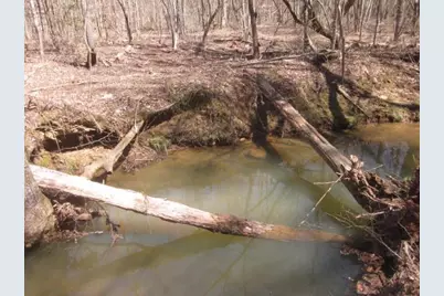 0000 Hwy 136- 11.31 Acres W, Talking Rock, GA 30175 - Photo 31