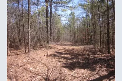 0000 Hwy 136- 11.31 Acres W, Talking Rock, GA 30175 - Photo 13