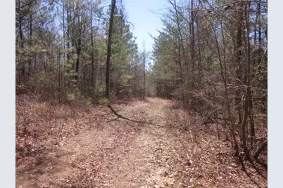 0000 Hwy 136- 11.31 Acres W, Talking Rock, GA 30175 - Photo 7
