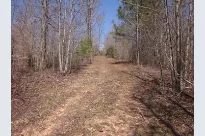 0000 Hwy 136- 11.31 Acres W, Talking Rock, GA 30175 - Photo 39