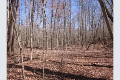 0000 Hwy 136- 11.31 Acres W, Talking Rock, GA 30175 - Photo 25