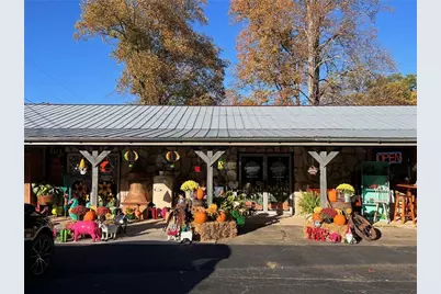 4645 Highway 136 W, Talking Rock, GA 30175 - Photo 3