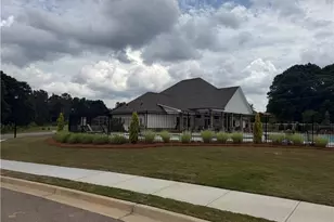 28 Elmarry Ln, Bethlehem, GA 30620 - Photo 33